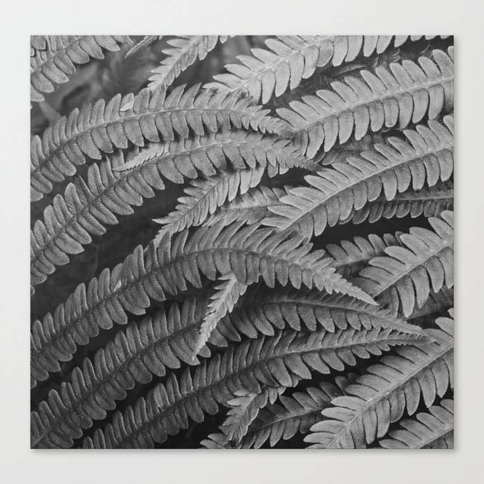 silver leaves Canvas Print