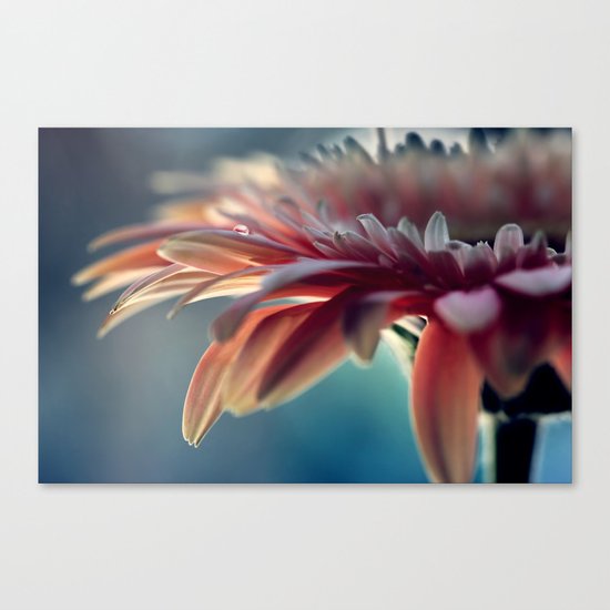 Nobody's Perfect Canvas Print