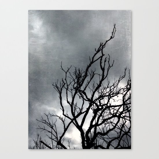 Old tree Canvas Print