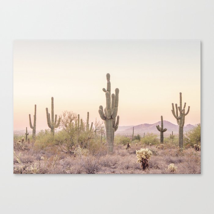 Arizona Desert Leinwanddruck