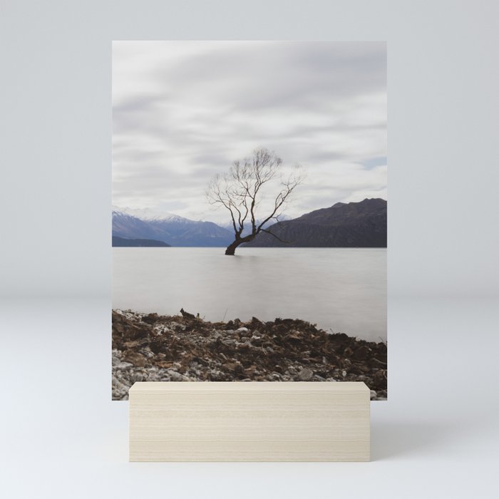 That Wanaka Tree in Winter // Otago NZ Photography Art Print Mini Art Print