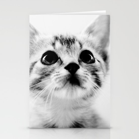 Sweet Kitten Stationery Cards