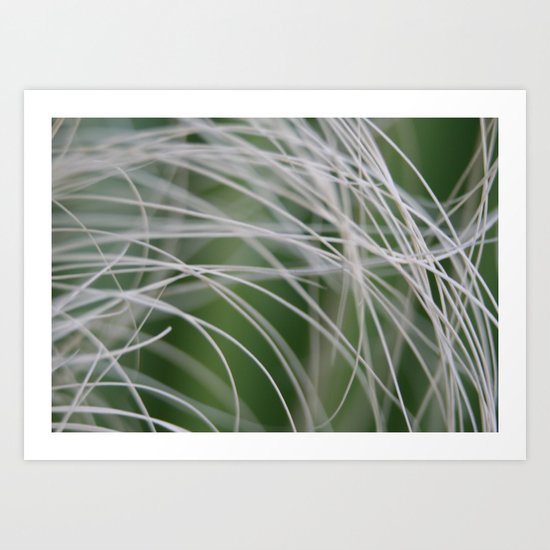 Rainforest Palm Tree Leaf Close Up Art Print