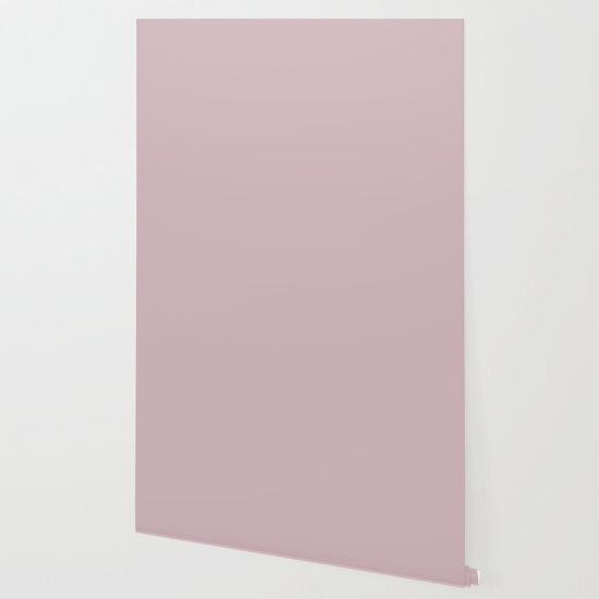 Sherwin Williams Trending Colors Of 2019 Delightful Pale Pastel