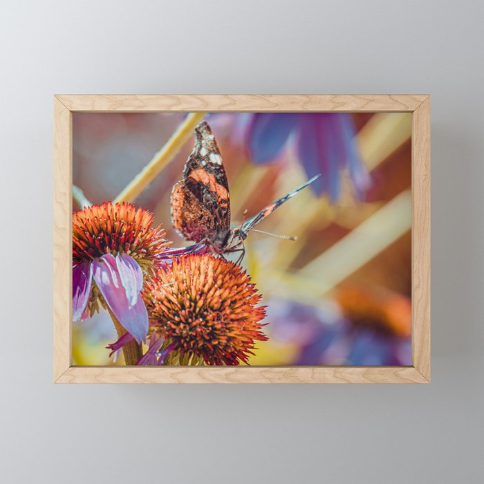 Landing Pad Beautiful Butterfly Photograph Framed Mini Art Print By Lovefi