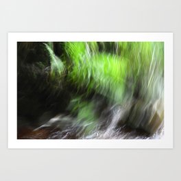 Abstract Ferns and Flowing Water Art Print