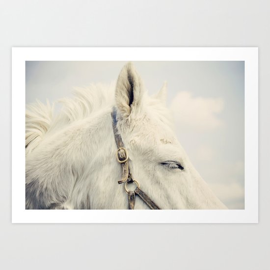 Nap time Art Print