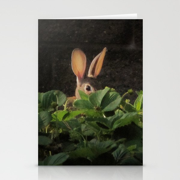 Shy Rabbit Stationery Cards