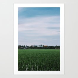 afternoon view near rice fields Art Print