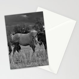 Three Ponies Stationery Card