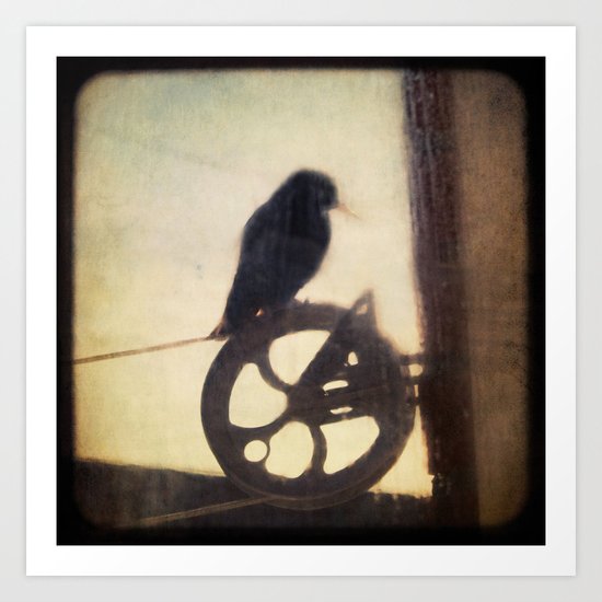 Bird On A Wire Art Print