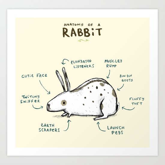Anatomy of a Rabbit Art Print