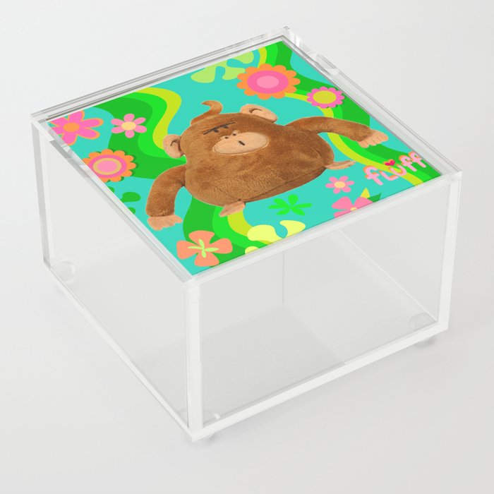 Cute Mod Monkey Acrylic Box