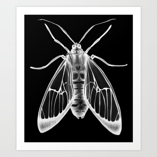 Wasp Moth II Art Print