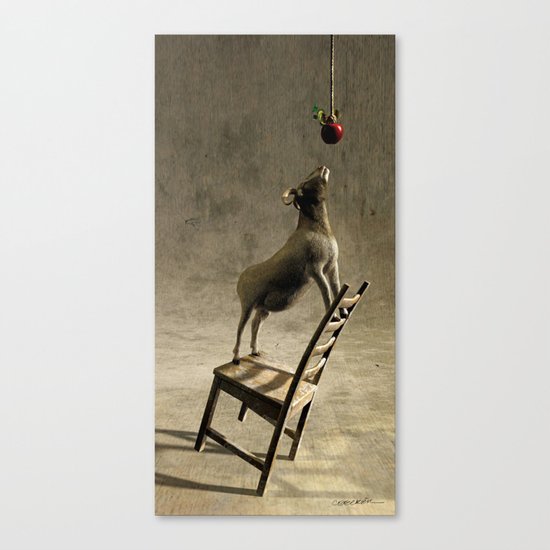 Equilibrium Canvas Print