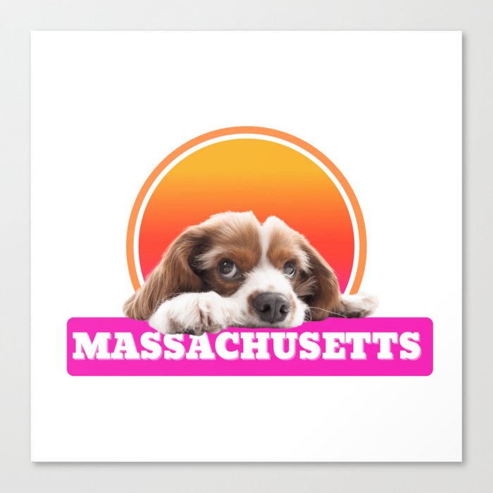 Massachusetts state Canvas Print