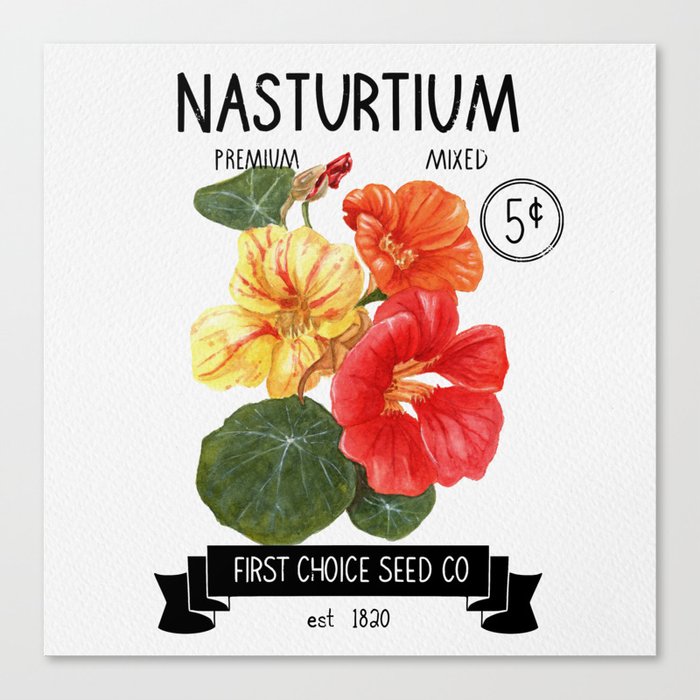 Vintage Nasturtium Seed Label Canvas Print
