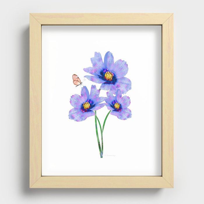 Sweet Nectar 2 - Pretty Blue Cosmos Flower Art Recessed Framed Print