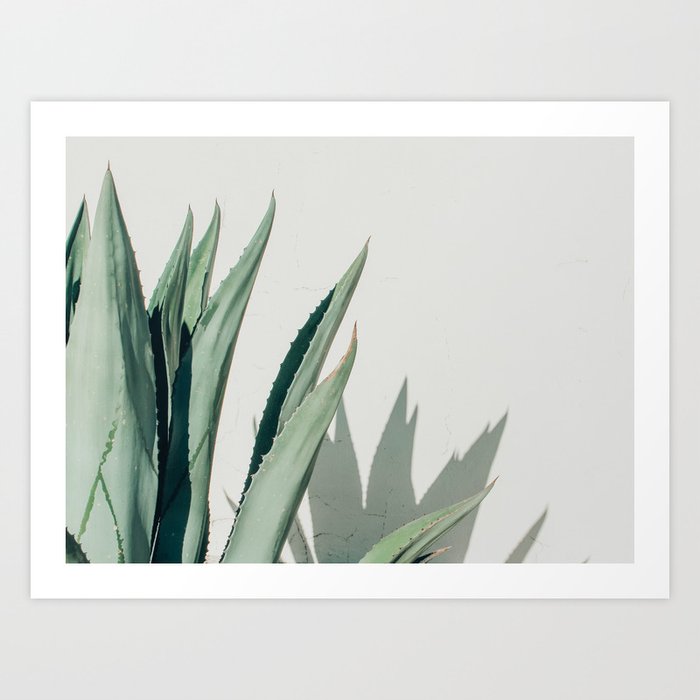 Agave, Marfa, West Texas Art Print