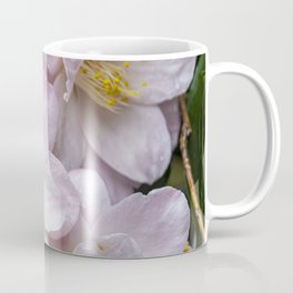 Pink Camellia in Spring Coffee Mug
