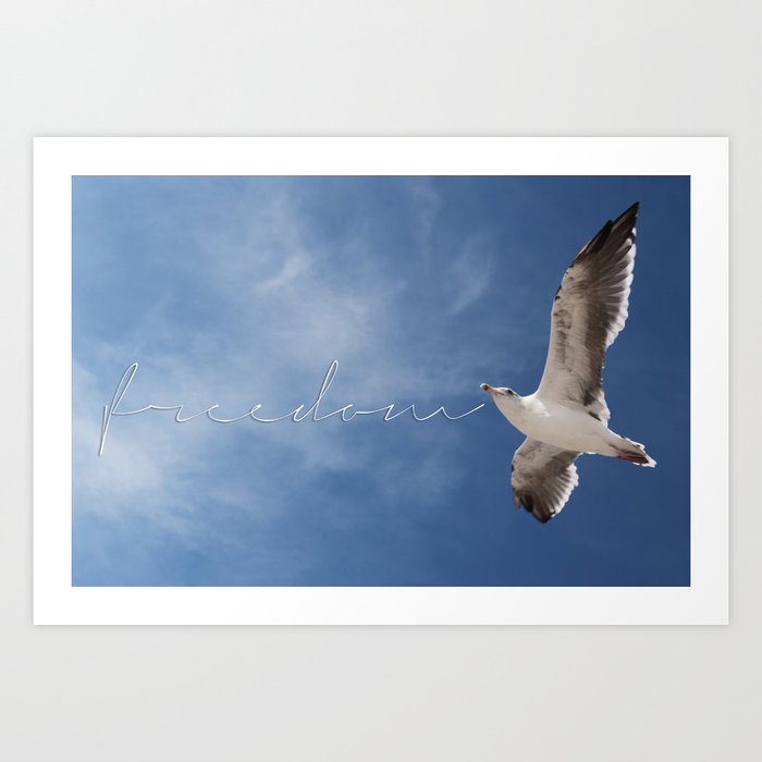 Seagull Freedom Flying Beach Seascape Ocean Decor Inspirational E Wall Art Re Framed Print By Griffinjoyphoto