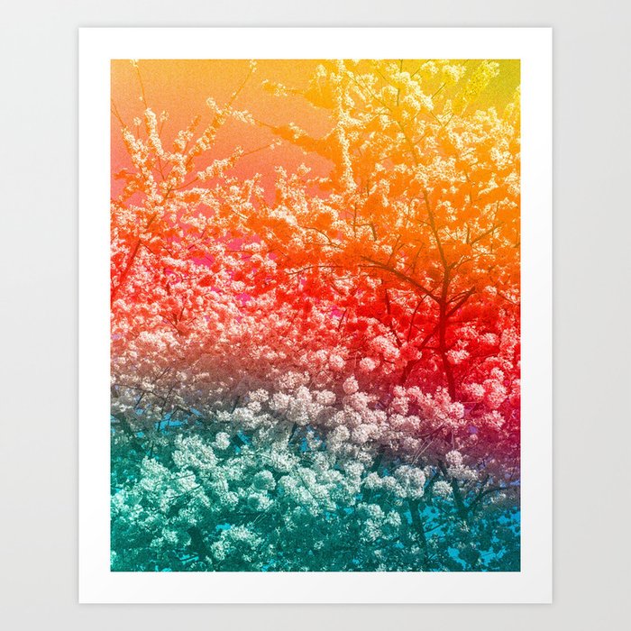 Sunset Blooms Art Print