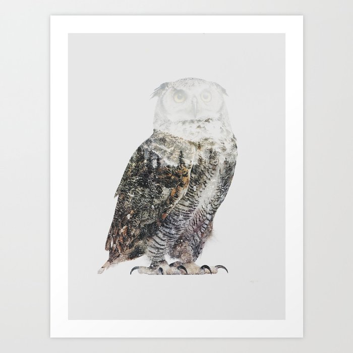 Arctic Owl Art Print