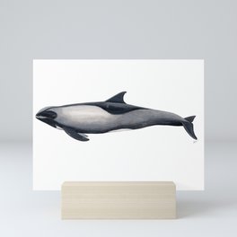 Melon-headed whale Mini Art Print