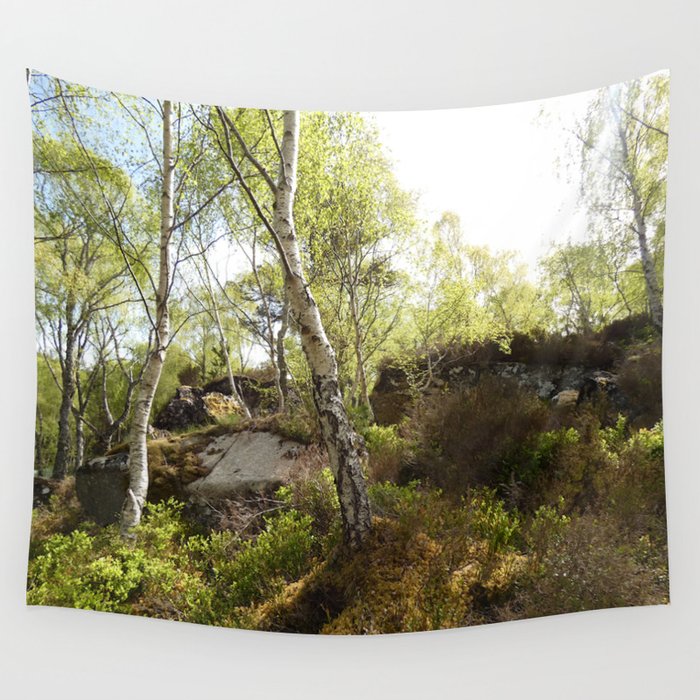 Colours of Spring in a Scottish Highlands Birch Woodland Wall Tapestry