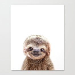 Baby Sloth, Baby Animals Art Print By Synplus Canvas Print