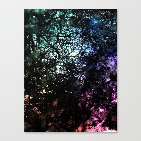 ε Avior Canvas Print