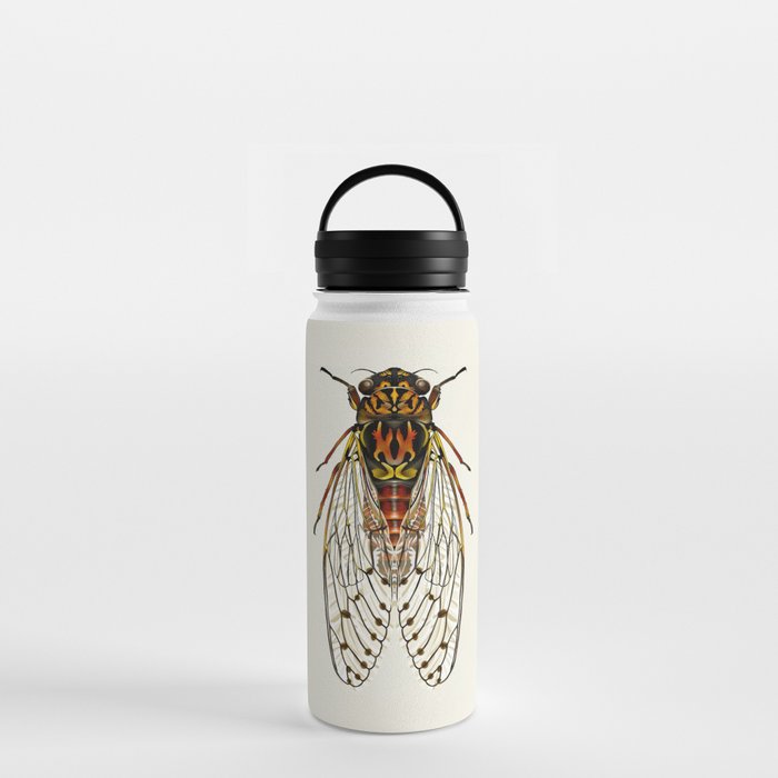 Cicada Orni Bug Water Bottle