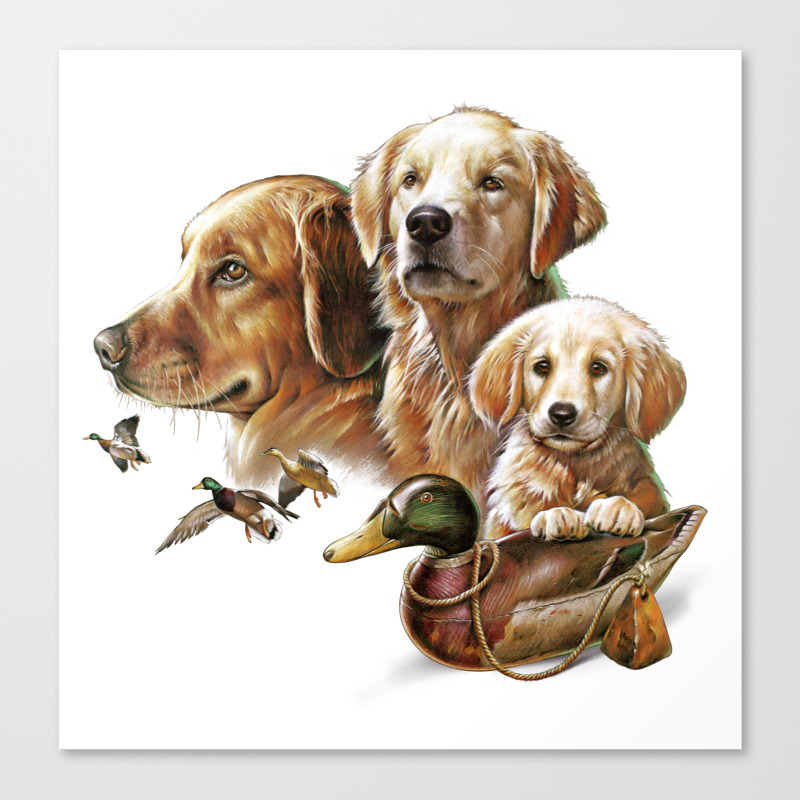 are golden retrievers hunting dogs