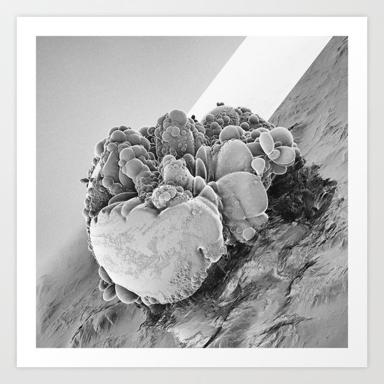 MICROBEAR (everyday 09.27.16) Art Print
