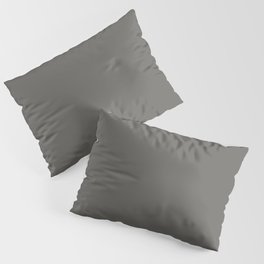 Dark Earthy Gray - Grey Solid Color Pairs Dark Woods PPG0999-7 Pillow Sham