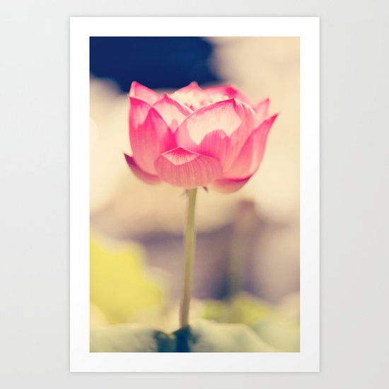 Pink Water Lotus Art Print