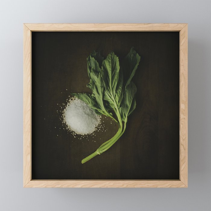 Basil and Salt Framed Mini Art Print