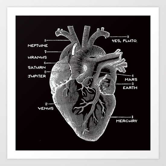 Solar Vascular System Art Print