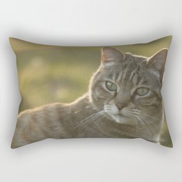Tabby cat Rectangular Pillow