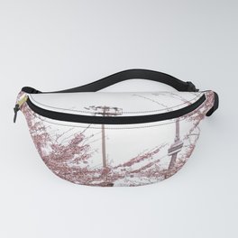 Cherry Blossoms at Trinity Bellwoods Park on April 21st, 2021. III Fanny Pack