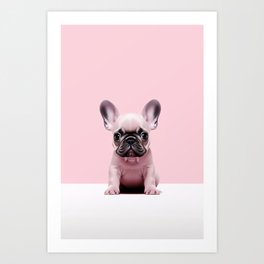 Adorable French bulldog puppy Art Print