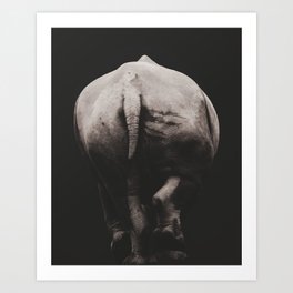 The walk home - Rhinoceros Wild Animal photography by Ingrid Beddoes Art Print
