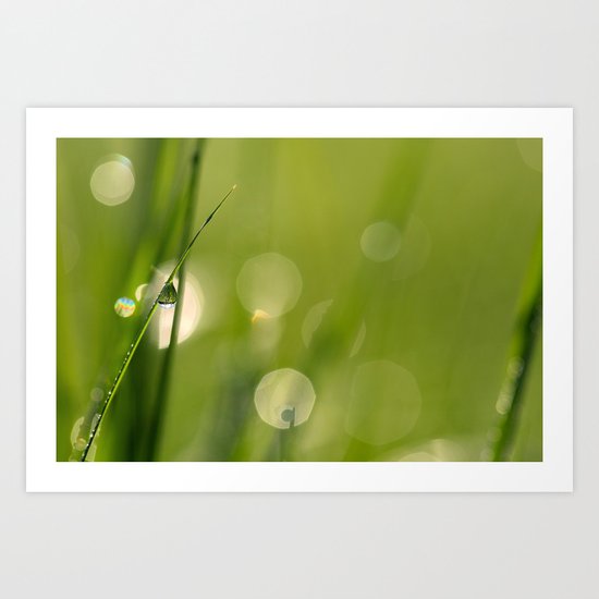 dew Art Print