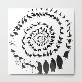Waterfowl birds in a spiral Metal Print | Seagulls, Illustration, Spiral, Waterfowl, Birds, Pelican, Gull, Geese, Heron, Drawing 