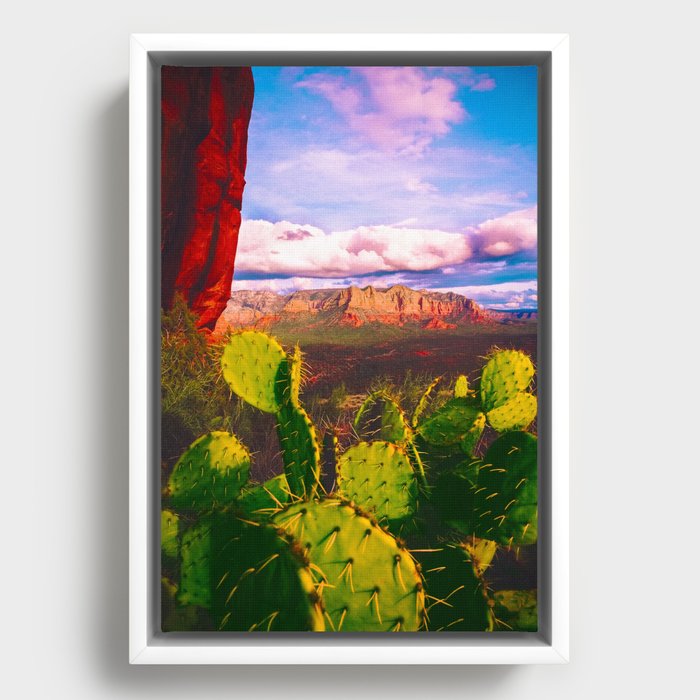 Framed Canvas