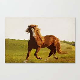 In the Wild Canvas Print