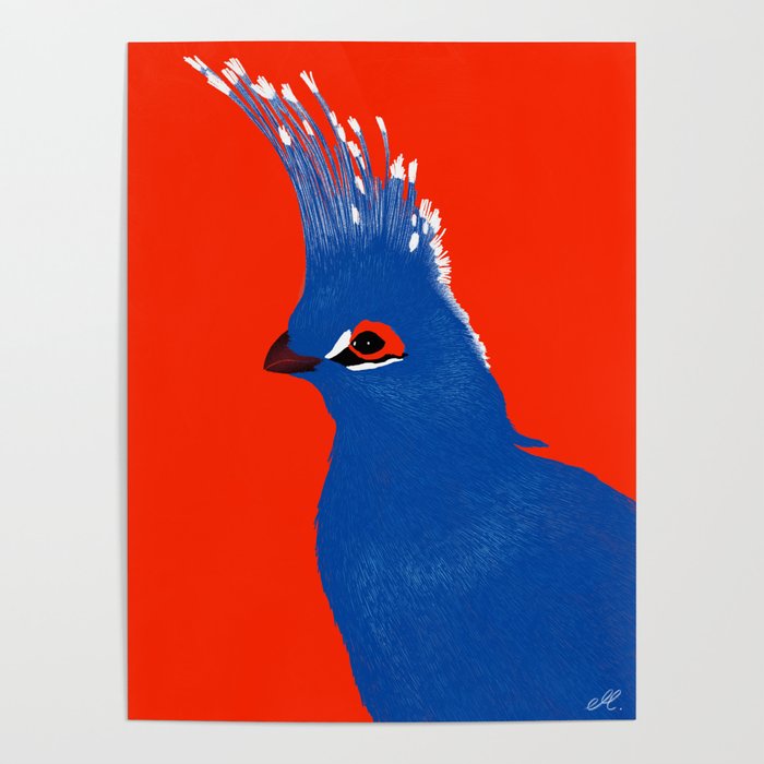 Turako red and blue Poster