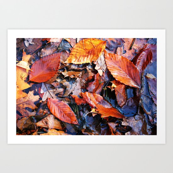 Fallen Foliage I Art Print