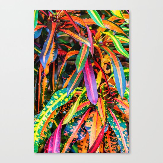 SIMPLY LEAVES Canvas Print
