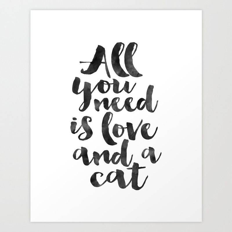 Crazy Cat Lady Cat Meow All You Need Is Love And A Cat Funny